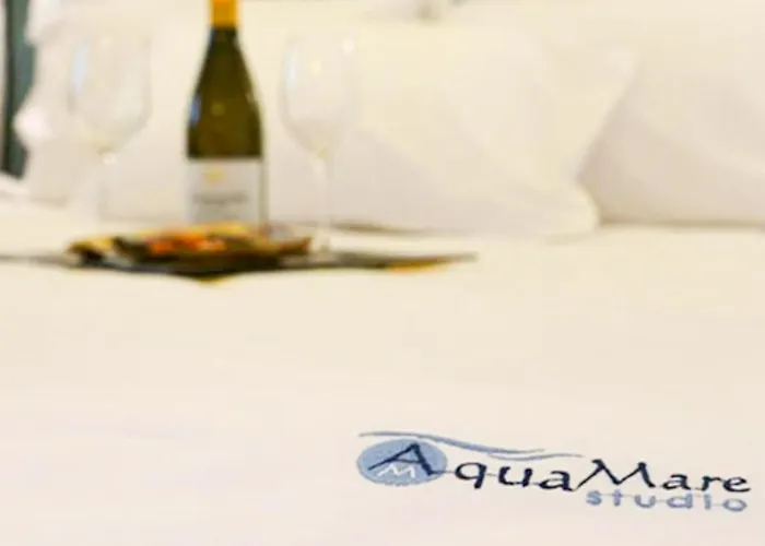 公寓式酒店 Aquamare